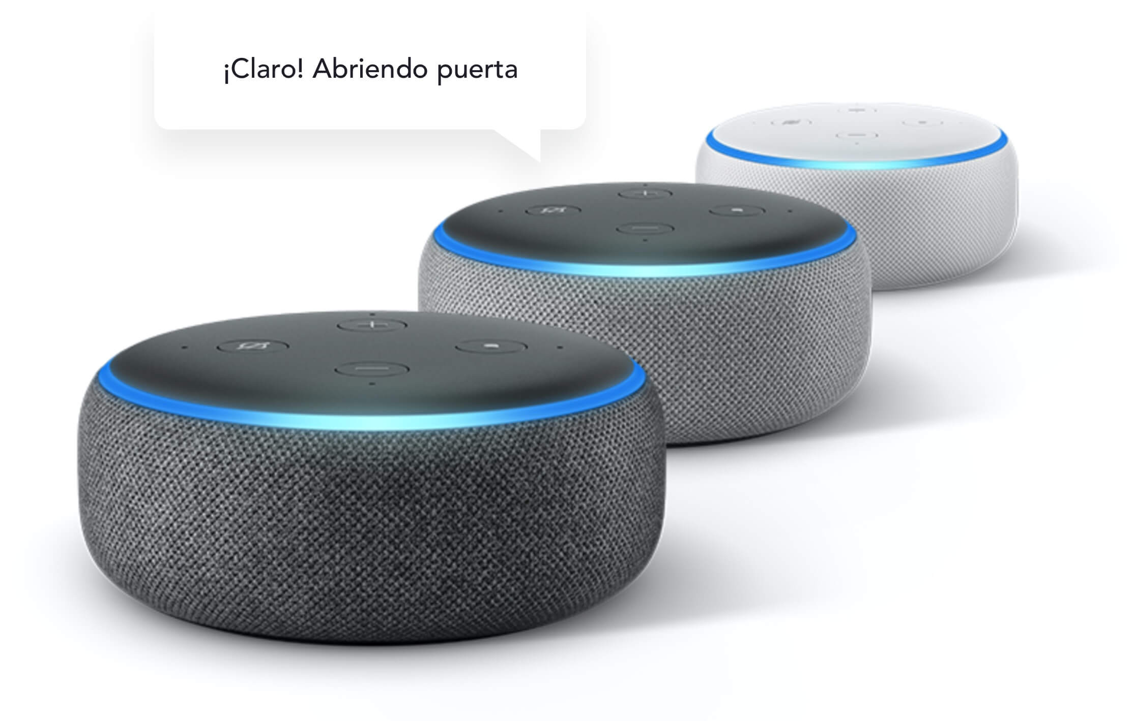 Amazon Echo Dots - Alexa