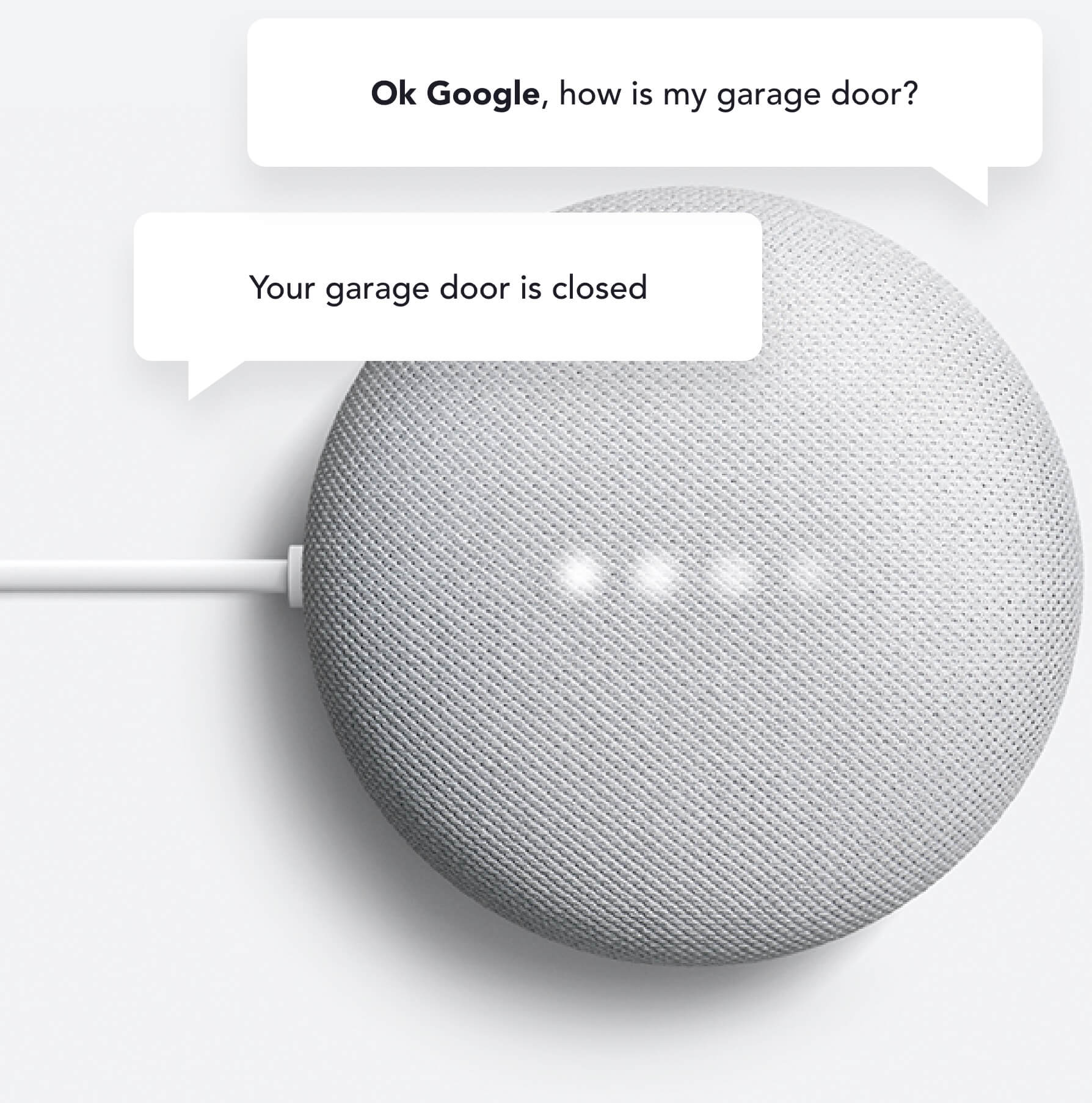 Google Home - Google Assistant